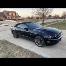 Used Mustang For Sale