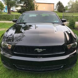 Used Mustang For Sale