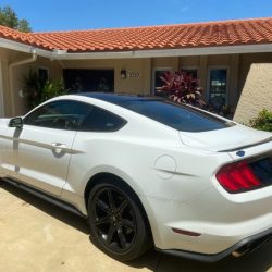 Used Mustang For Sale