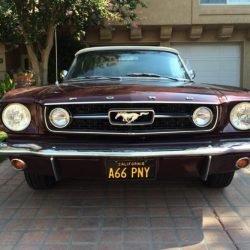 Used Mustang For Sale