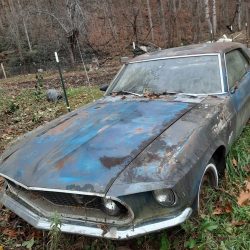 Used Mustang For Sale