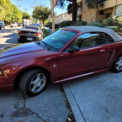 Used Mustang For Sale