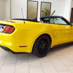 Used Mustang For Sale