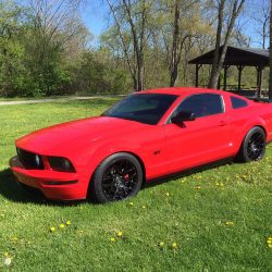 Used Mustang For Sale