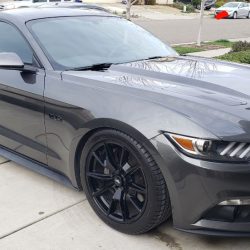 Used Mustang For Sale