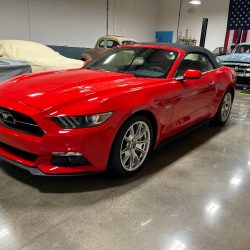 Used Mustang For Sale