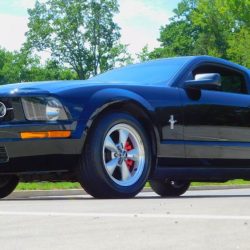 Used 2007 Mustang For Sale