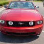 Used Mustang For Sale