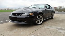 Used Mustang For Sale