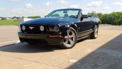 Used Mustang For Sale