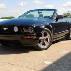 Used Mustang For Sale