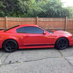 Used Mustang For Sale