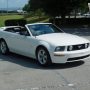 Used Mustang For Sale