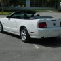 Used Mustang For Sale