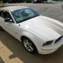 Used Mustang For Sale