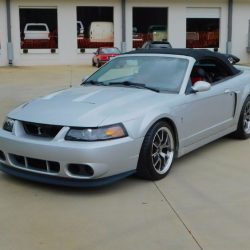 Used Mustang For Sale