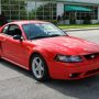 Used Mustang For Sale