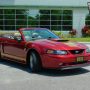 Used Mustang For Sale