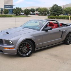 Used Mustang For Sale