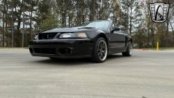 Used Mustang Cobra For Sale