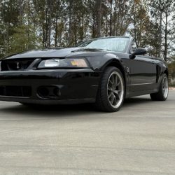 Used Mustang Cobra For Sale