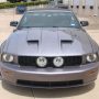 Used Mustang For Sale