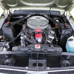 Used Mustang For Sale