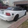Used Mustang For Sale