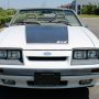 Used Mustang For Sale