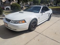 Used Mustang For Sale