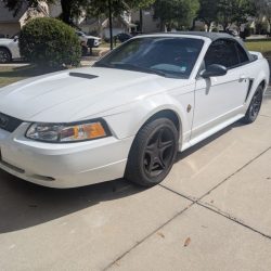 Used Mustang For Sale