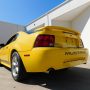 Used Mustang For Sale