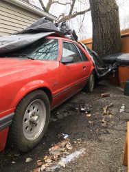 Used Mustang For Sale