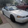 Used Mustang For Sale
