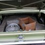 Used Mustang For Sale