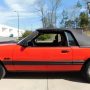 Used Mustang For Sale