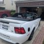 Used Mustang For Sale