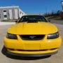 Used Mustang For Sale