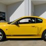 Used Mustang For Sale