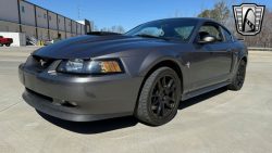 Used Mustang For Sale