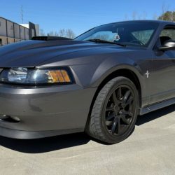 Used Mustang For Sale