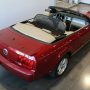 Used Mustang For Sale