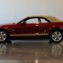 Used Mustang For Sale