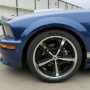 Used Mustang For Sale