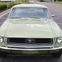 Used Mustang For Sale