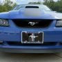 Used Mustang For Sale