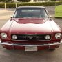 Used Mustang For Sale