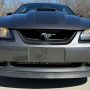 Used Mustang For Sale