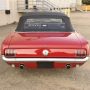 Used Mustang For Sale
