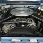 Used Mustang For Sale